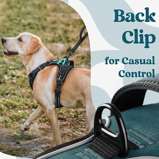 rabbitgoo Dog Harness Medium Sized, No Pull Pet Harness with 3 Buckles, Adjustable Soft Padded Vest with Control Handle, Walking Reflective Pet Vest for Medium Dogs, Blue Coral, M