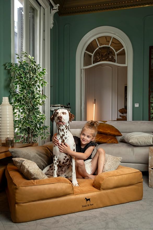 NOAH & PAW XL Dog Bed, 45x35x11 Inch, Orthopedic Large Dog Beds, Eggshell Memory Foam Infused with Cooling Gel, Inner Cover, Waterproof, Machine Washable (Faux Leather Sofa Collection)
