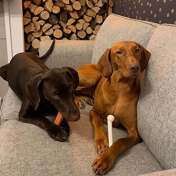 Nylabone Original Bone Power Chew Toy for Dogs, Durable Dog Toys for Aggressive Chewers, Basted Blast Chicken Flavor, Large - Up to 50 lbs, 2 Pack