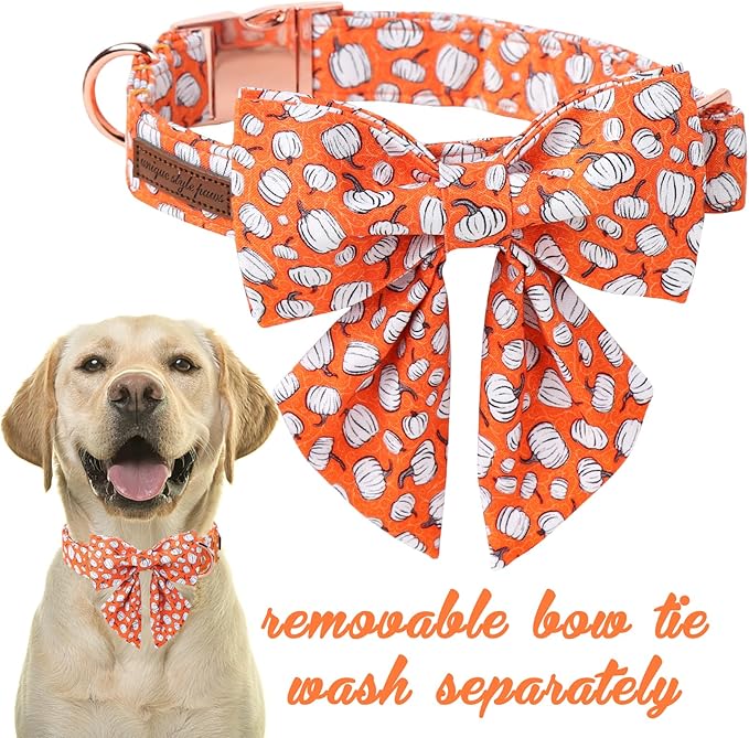 Unique Style Paws Halloween Day Dog Collar with Bowtie Line Pumpkin Cotton Dog Collars for Small Medium Large Dogs