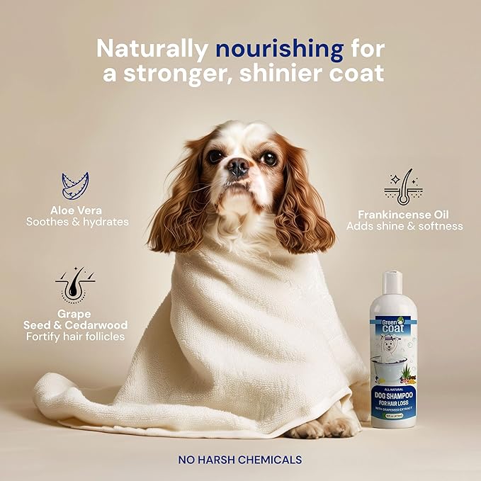 Natural Dog Shampoo for Hair Loss with Grapeseed, Aloe & Cedarwood, Gentle Shampoo Specially Formulated to Beautify The Dogs Coat, USA Made, 16fl oz 473 ml.
