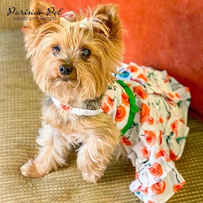 Parisian Pet Boho Dog Dress - Red Poppies Summer Clothes - Velcro Closure, Lightweight Cotton Dressy Outfit - Small Dog Girl Dress - Beach Outfit - XS