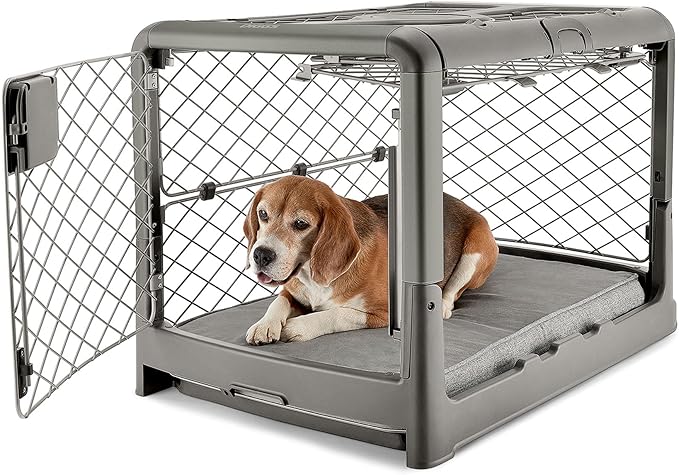 DIGGS Revol Collapsible Dog Crate with Wheels - Premium Portable Dog Crate - Safe, Stylish, and Convenient Indoor Kennel (Smoke, Medium)