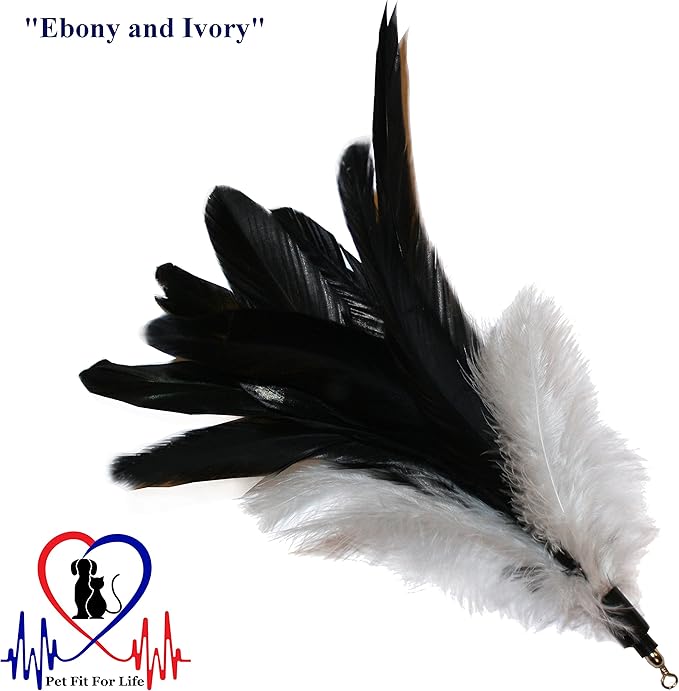 Pet Fit For Life 4 Piece Dual Rod Feather Teaser and Exerciser for Kitten and Cats - Cat Toy Interactive Cat Wand