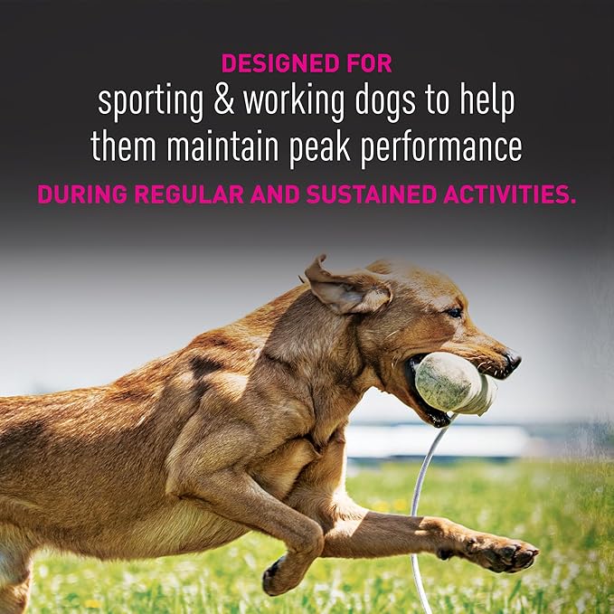 EUKANUBA Adult Premium Performance 30/20 Sport Small Bites Dry Dog Food, 3.5 lb Bag