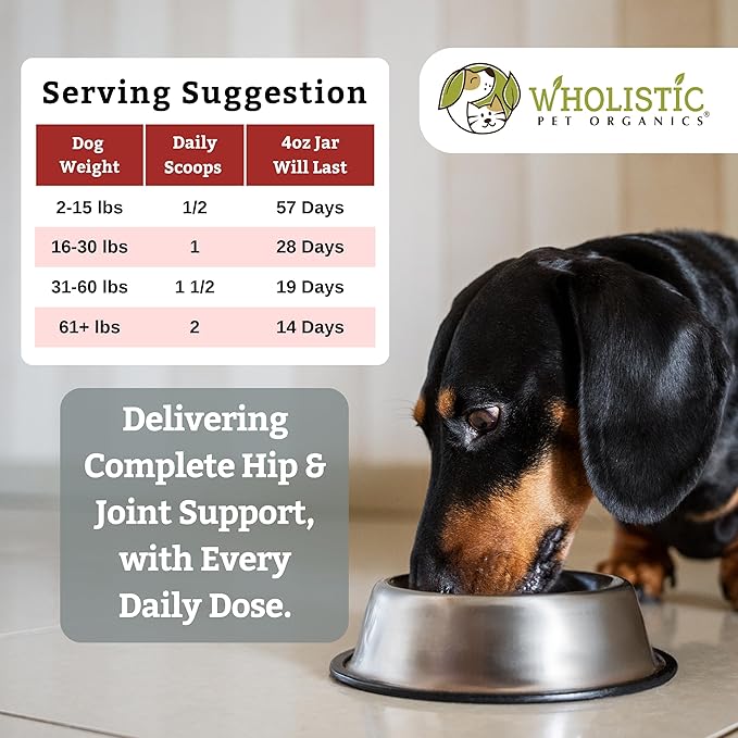 Wholistic Pet Organics Joint Supplement for Dogs - 4 Oz - Daily Dog Hip and Joint Supplement with Glucosamine Chondroitin & MSM to Support Mobility - All Breeds & Ages - Organic Glucosamine for Dogs