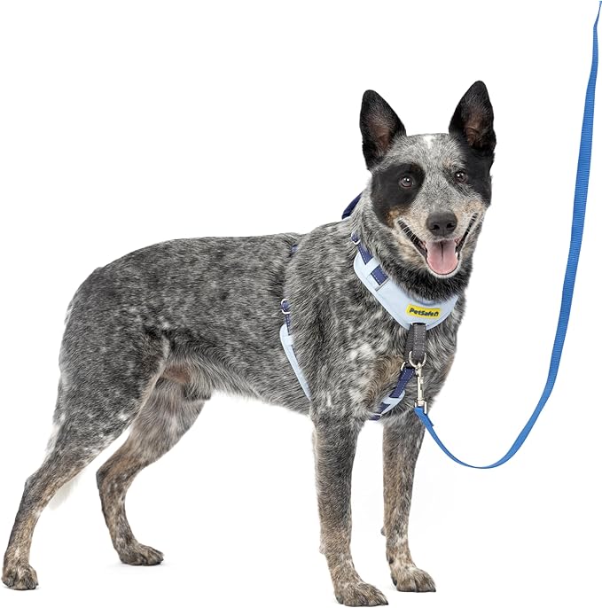 PetSafe Easy Walk Comfort No-Pull Dog Harness - Better Walk Training Harness - Full Body Padded Design - Durable Fabric - 5 Point Adjustable Fit - Everyday Leash Training - Blue - Medium/Large