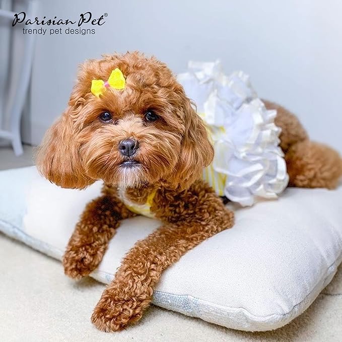 Parisian Pet Dog Dress - Ballerina Dress Girl Dog Clothes - Stylish Dog Wedding Outfit - Lightweight Puppy Dress - Summer Dog Dresses for Medium Dogs Girl M