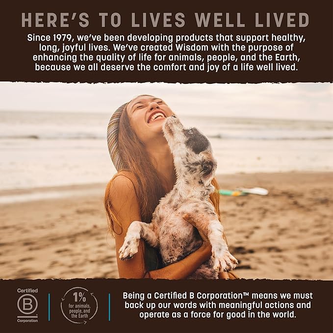 Earth Animal Wisdom Air-Dried Jerky from The Sea Recipe | Dog Treats | Dog Snacks | Premium Natural Fish Jerky Strips | 4 oz |Made in The USA (Pack of 3)