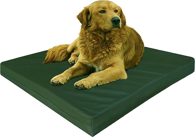 Dogbed4less Memory Foam Dog Bed, Orthopedic Joint Relief for Small Medium to XL Dogs with Waterproof Liner and Durable Machine Washable Pet Bed Cover (Canvas in Olive Green, XL 47" Length X 29" Width)