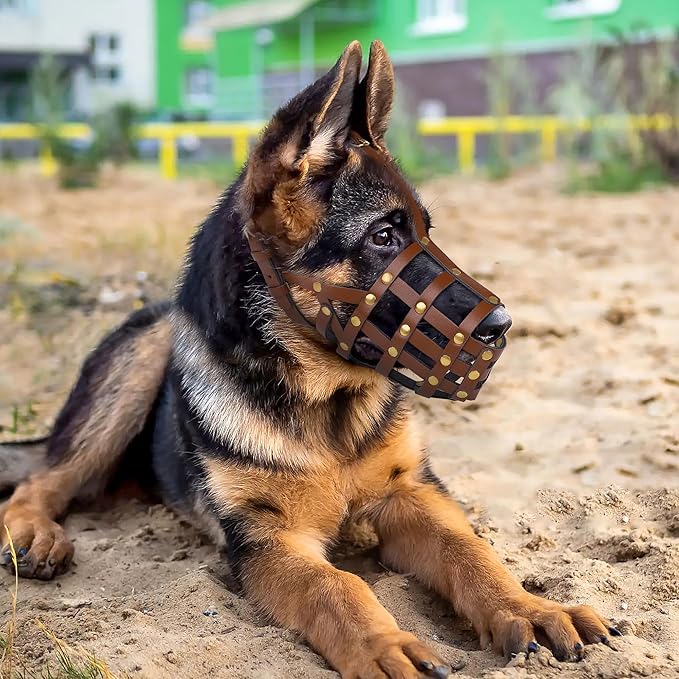 OOPSDOGGY Doberman Dog Muzzle for Large Dogs - Leather Breathable Secure Basket Muzzle for Large Breeds Husky German Shepherd Prevents Biting No Chewing Adjustable (Brown, Size 3 - Doberman)