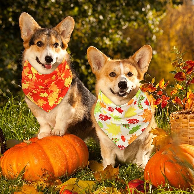 Sweetude 50 Pcs Thanksgiving Fall Dog Bandanas Bulk Pumpkin Maple Leaves Autumn Plaid Bandanas for Dogs Soft Bibs Triangle Scarves for Small Medium Large Pets Costume (25.6 x 17.7 x 17.7 Inch)