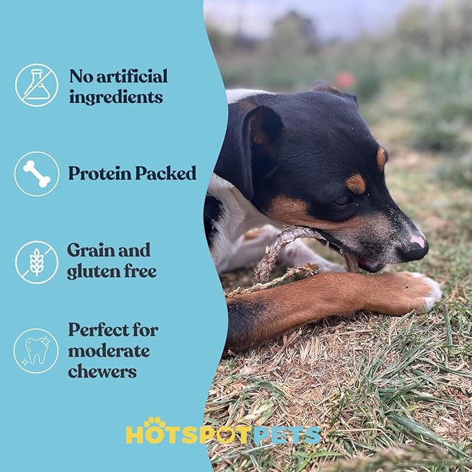 hotspot pets Bully Stick Rings for Dogs (5 Pack) 4 Inch Circles- Premium All Natural Long Lasting Beef Pizzle Dog Chew Treats - Low Odor, Grain Free, Fully Digestible, Rawhide Alternative Chews