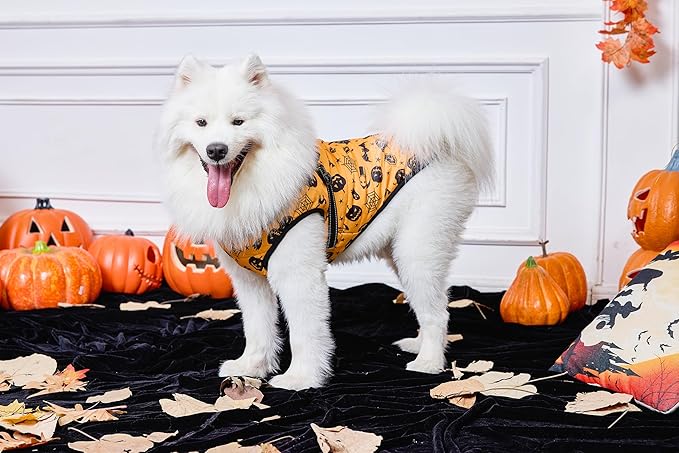 Aiboria Dog Jackets Windproof Outfit Coat Dog Vest Harness Puppy Warm Jacket Halloween Orange XXL