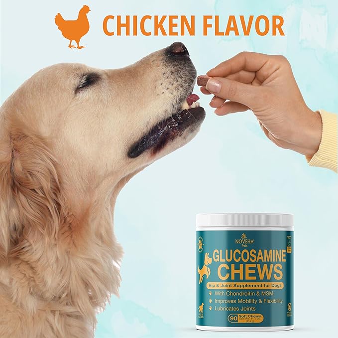 NOVEHA Dog Glucosamine Chews | Hip and Joint MSM Formula for Dogs Joint Care | Senior Pet Joint Health Supplement | Premium Glucosamine and Chondroitin for All | 2PK - 90 Soft Chews; Chicken Flavor