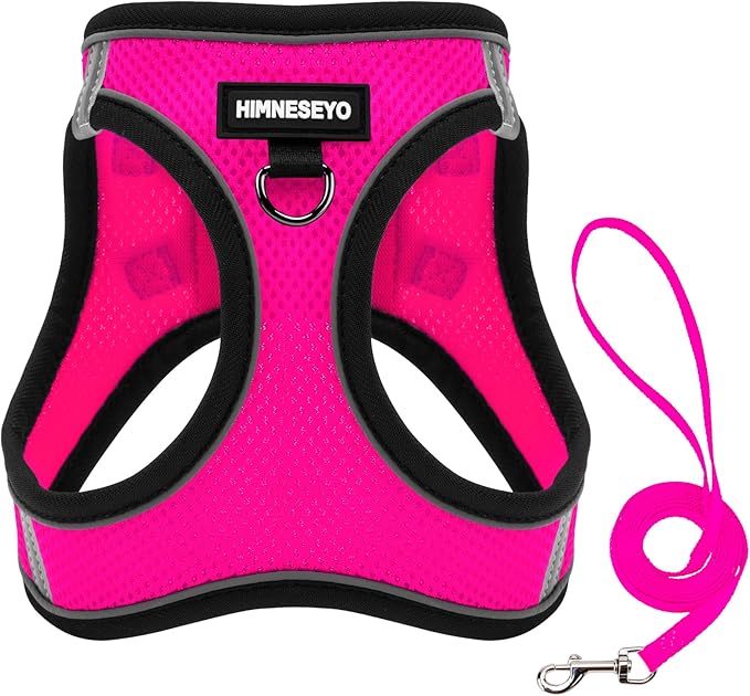 Dog Harness and Leash Set, Dog Harness for Dogs No Pull, No-Chock Step-in Reflective Breathable Lightweight Easy Walk Vest Harnesses with Safety Buckle for Small Medium Dogs, Cats (Rose red, XXS)