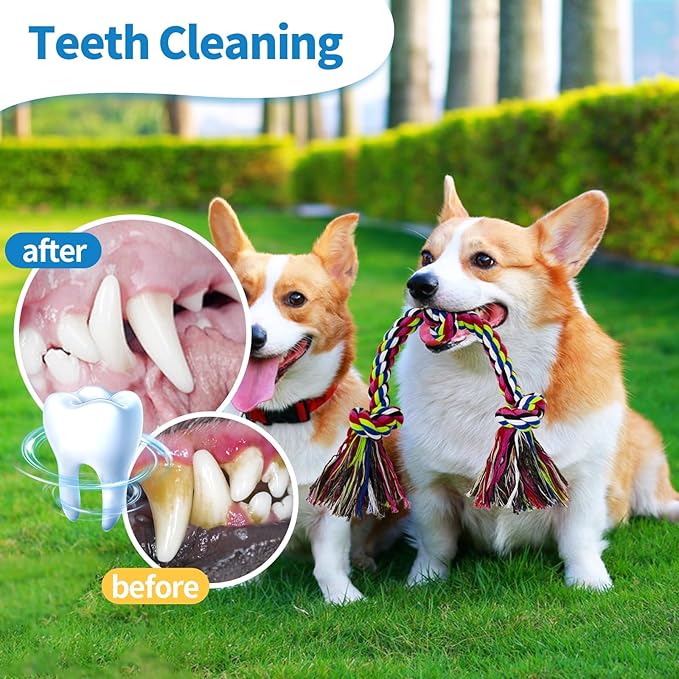 [2 Pack] Dog Rope Toys, Dog Chew Toy for Medium and Small Dogs, 3 Knots Heavy Duty Puppy Rope Toy, 100% Cotton Tug of War Dog Toys for Boredom, Teeth Cleaning