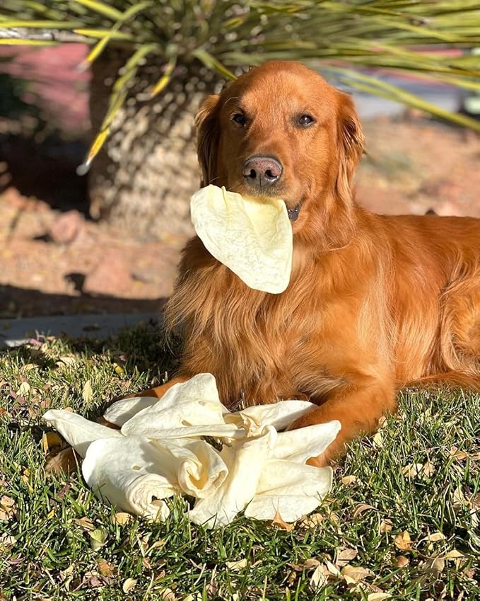 Redbarn Premium Cow Ears for Dogs – 9 Count – All-Natural, Single-Ingredient Chews – Healthy, Low Fat and Highly Digestible, Alternative to High-Calorie Treats & Snacks