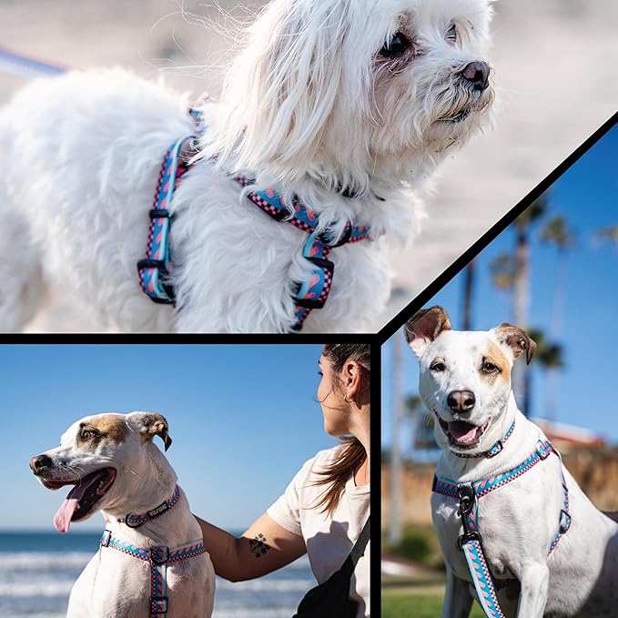 Wolfgang Heavy Duty Martingale Dog Collar with Quick Release Nylon Buckle for Walking & Training, BuenaOnda Print, Medium