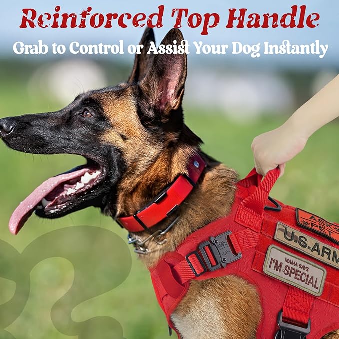 rabbitgoo Tactical Dog Harness Medium Sized, Heavy Duty Pet Harness with Handle, No-Pull Service Vest Medium Breed, Adjustable Military Dog Vest for Training Hunting Walking, Red, M