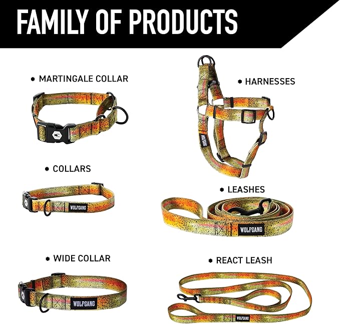 Wolfgang Heavy Duty Martingale Dog Collar with Quick Release Nylon Buckle for Walking & Training, CutBow Print, Medium