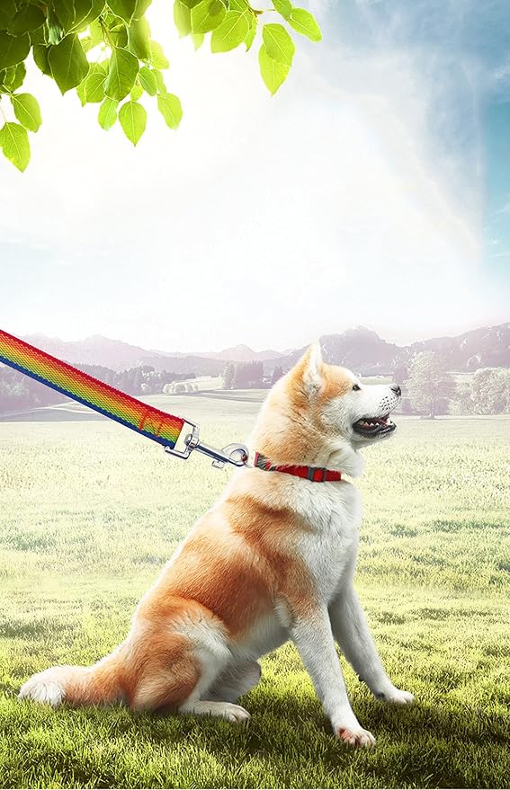 PETGOGO 15ft 20ft 30ft 40ft 50ft Long Dog/Puppy Lead Obedience Recall Training Dog Leashes for Small Medium Dogs Camping, Training, Play, or Backyard (Rainbow, 1" x 40FT)