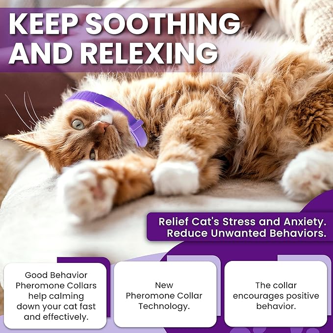 Calming Collar for Cats: Pheromone-Infused Behavior Support, Long-Lasting 30-Day Effect, Adjustable & Waterproof, 4-Pack (M Purple)