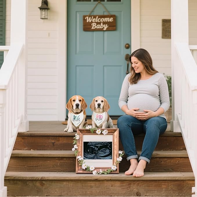 Realeaf Big Brother Big Sister Dog Bandanas Pet Scarf for Medium and Large Dogs New Baby Announcement Pet Accessories Pregnancy Reveal Ideas (X-Large)