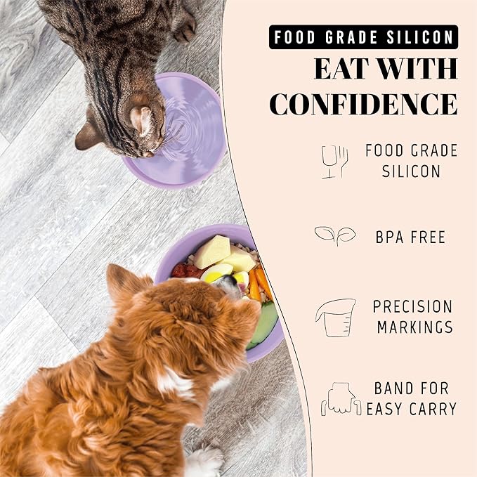 30 Oz Travel Dog Bowls with Lids, 2-in-1 Portable Pet Bowls for Food and Water, Leakproof Travel Dog Food & Water Bowl for Outdoor, Camping, Travel Dog Feeding Bowl, Daycare Pet Bowls