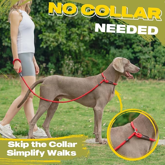 Fida Durable Slip Lead, 6 FT x 1/2" Heavy Duty , Comfortable Strong Rope for Large, Medium Dogs, No Pull Pet Training Loop Leash with Highly Reflective, Red