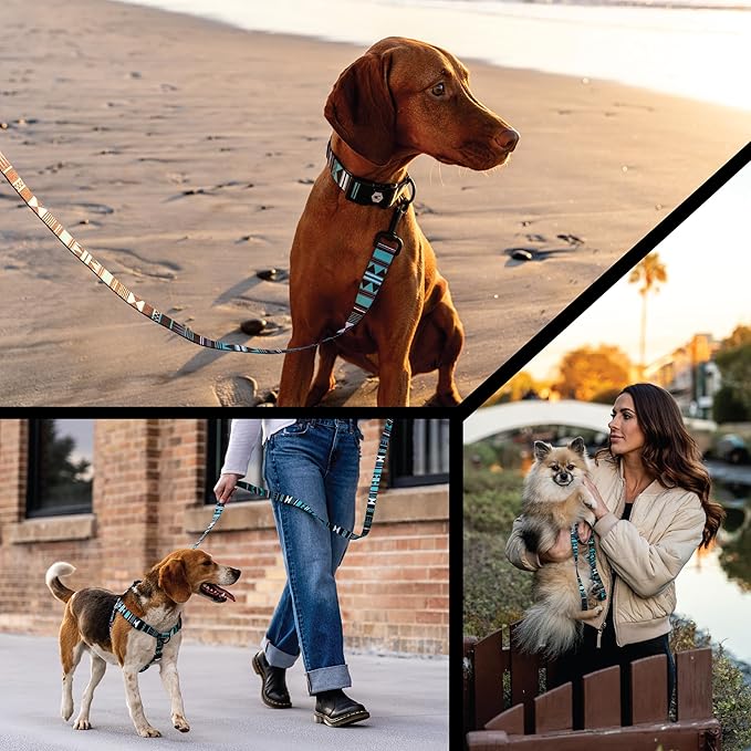 Wolfgang Heavy Duty Martingale Dog Collar with Quick Release Nylon Buckle for Walking & Training, WesternSky Print, X-Large