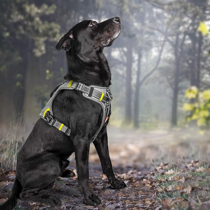 Fida Dog Harness, Multi-Functional No-Pull Pet Vest Harness with Saddle Bags Backpack, Front Leash Clip, Adjustable Soft Padded Reflective No-Choke Dog Vest Heavy Duty for Medium & Small Dog, M, Black