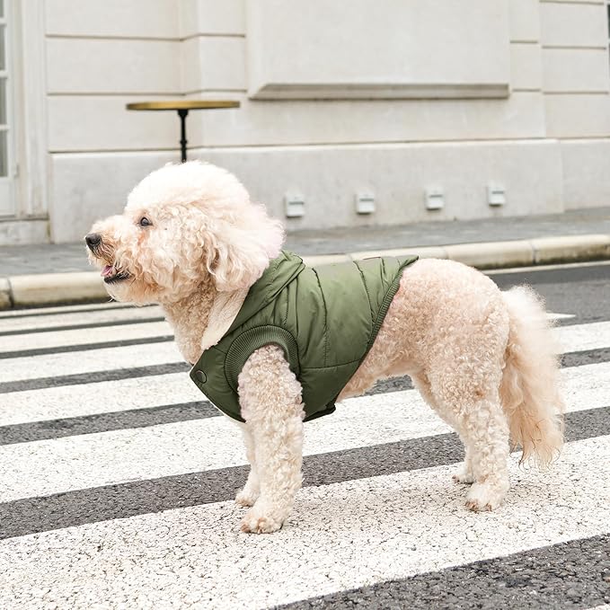 Fleece Lining Extra Warm Dog Hoodie in Winter for Large Dogs Jacket Pet Coats with Hooded Green XXXL