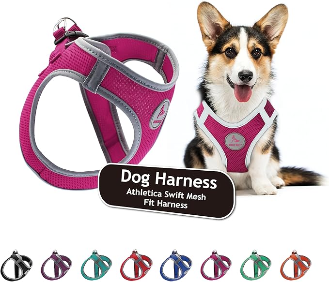 Kruz Dog Harness (Chest 13.5"-14", Weight 4–6 lbs) Athletica Adjustable Heavy Duty No Choke Puppy Vest for Small Dogs Lightweight Air Mesh, Reflective, Puppy Essentials – Raspberry Pink, X-Small