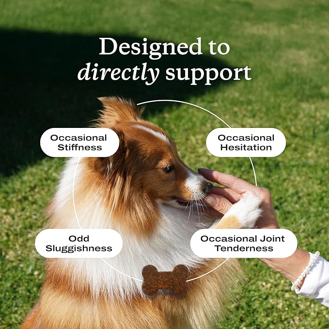 Petlab Co. Joint Care Chews for Dogs - High Levels of Glucosamine, Green Lipped Mussels, Omega 3 and Turmeric - Hip and Joint Supplement for Dogs to Actively Support Mobility, Packaging May Vary