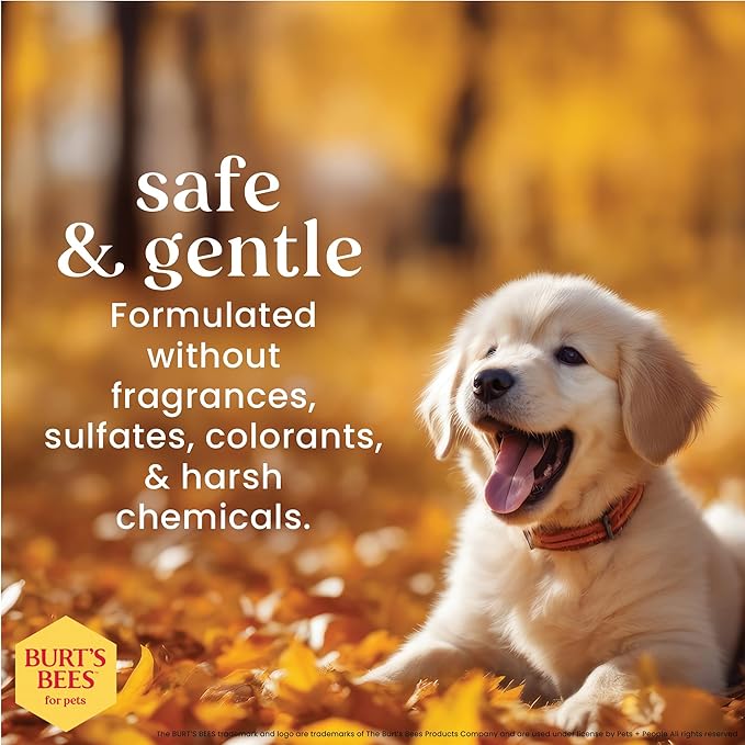 Burt's Bees for Pets Tearless Puppy Shampoo with Buttermilk, 95% Natural Origin Formulas, Shampoo for Puppies - Gentle Dog and Puppy Shampoo Tear Free, Best Puppy Shampoo Tearless, 32 oz