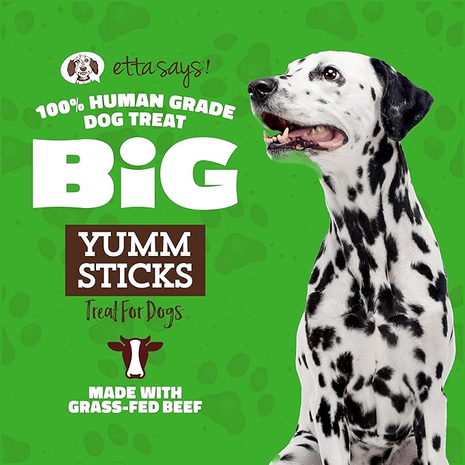 etta says! Big Yumm Sticks - Real Meat Beef Dog Jerky Treats - Human Grade - Made in The USA (24 Count Pack of 1)