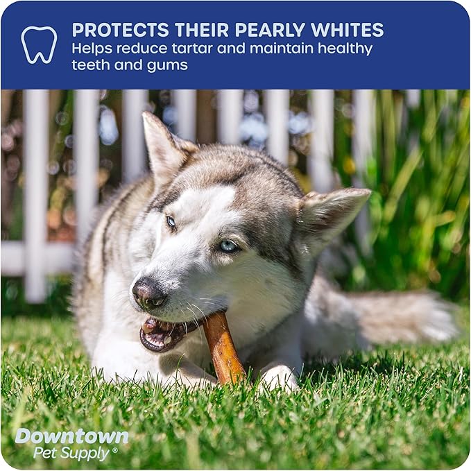 Downtown Pet Supply USA-Made 6", 8 Oz. Jumbo Bully Sticks for Large Dogs - Rawhide Free Dog Chews Long Lasting and Non-Splintering - Single Ingredient, Low Odor Bully Sticks for Medium Dogs