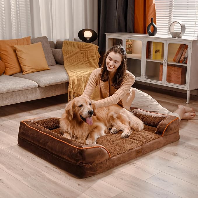 Comfort Expression Orthopedic Dog Bed for Small Dogs 20x14 Inch, Waterproof Supportive Egg Crate Foam Small Pet Bed with Removable Bolsters, Dog Couch with Washable Cover & Non-Slip Bottom, Dark Brown