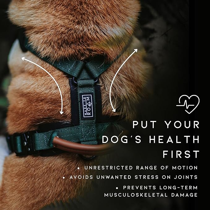 MADE TO ROAM Premium Explorer Harness - Y-Shaped Dog Harness with Adjustable Durable Nylon, Soft Padding, Metal Buckles and Leather Handle for Small, Medium, Large Dogs (Nevada Evening, Size 4)