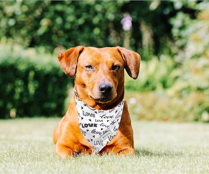 Realeaf Wedding Dog Bandanas 2 Pack, Reversible Love Pet Scarf for Boy and Girl, Premium Durable Fabric, Black and White Bandana for Small Medium Large and Extra Large Dogs (Large)