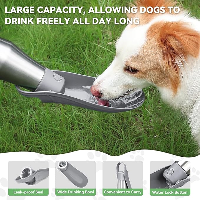 27 OZ Dog Water Bottle Portable Stainless Steel Convenient Pet Water Dispenser, Leak Proof Puppy Travel Water Bowl for Dog Outdoor Walking, Hiking, Perfect Size for All Dog Breeds, Grey