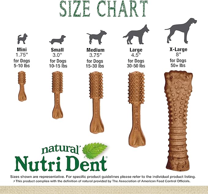 Nylabone Nutri Dent Dog Dental Chews - Natural Dog Teeth Cleaning & Breath Freshener - Dental Treats for Dogs - Filet Mignon Flavor, Large (20 Count)