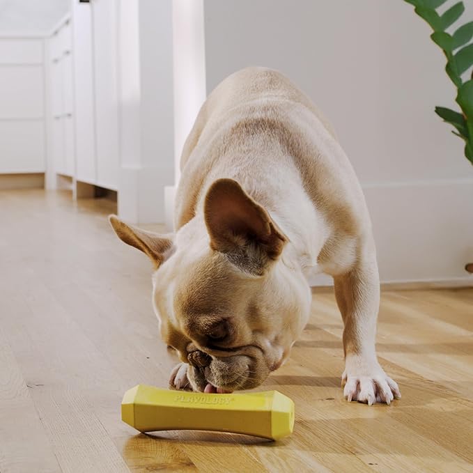 Playology Dog Toys | Durable Squeaky Chew Stick for Dogs | Medium Chicken Scented Toy - Easy to Clean and Made from Non Toxic Materials