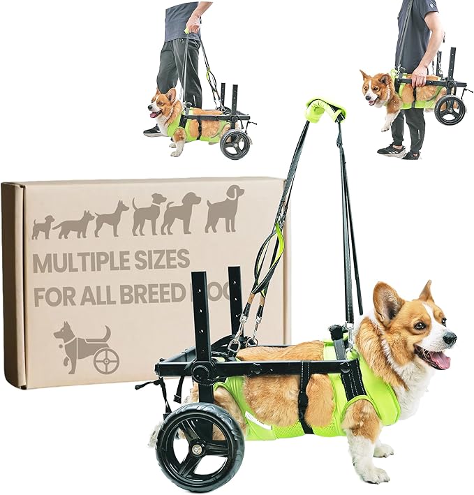 Dog Wheelchair for Back Legs - Lightweight Mobility Cart for Medium Breed Dogs with Disabled, Injured, or Arthritic Hind Legs - Includes High-Visibility Vest, Leash & Sling Lift (L)