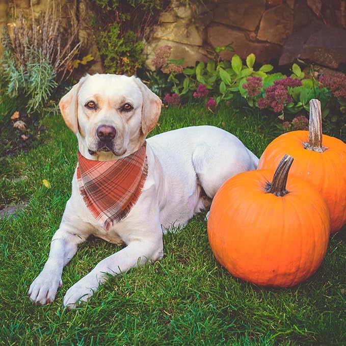 ADOGGYGO Fall Dog Bandana with Tassels Edges, Orange Red Plaid Pet Scarf Bib, Multiple Sizes Offered, Halloween Thanksgiving Fall Bandanas for Medium Large Dogs Pets (Large)