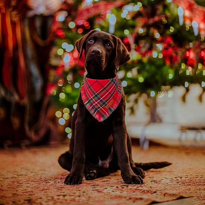 ADOGGYGO 2 Pack Dog Bandana Christmas with Tassels Edges, Stylish Red Green Plaid Pet Scarf Bibs Kerchief, Premium Cotton Fabric, Pet Christmas Bandanas for Medium Large Dogs (Large)