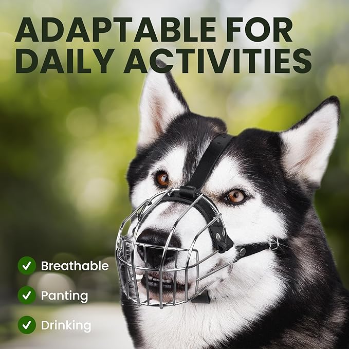 BRONZEDOG Dog Muzzle Adjustable Durable Metal Wire Basket for Large and Extra Large Dogs with Leather Straps Breathable, Drinkable, Training, Prevents Biting (Stainless Steel, Husky & Doberman)