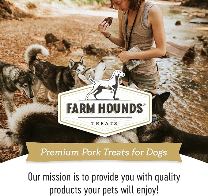 Farm Hounds - Premium Natural Pork Jerky for Dogs - Made from 100% Humanely Raised Pork - Break-to-Size - Great for Training & Treats - No Added Fillers - Made in USA - 3.5 oz - 2 Pack