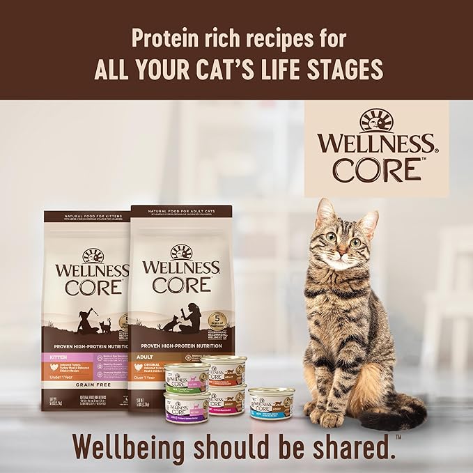 Wellness CORE Signature Selects Chunky Adult Wet Cat Food, Natural, Protein-Rich, Grain Free, 2.8 Ounce, 12 Pack (Chicken & Salmon)
